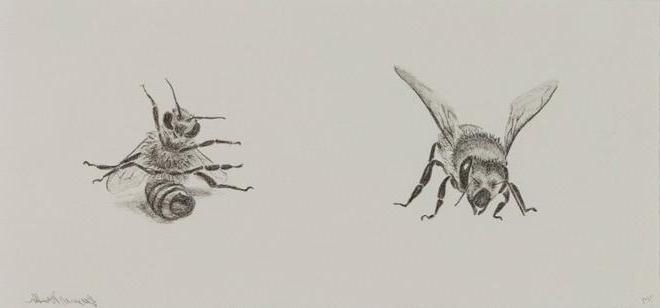 A print of 2 bees.